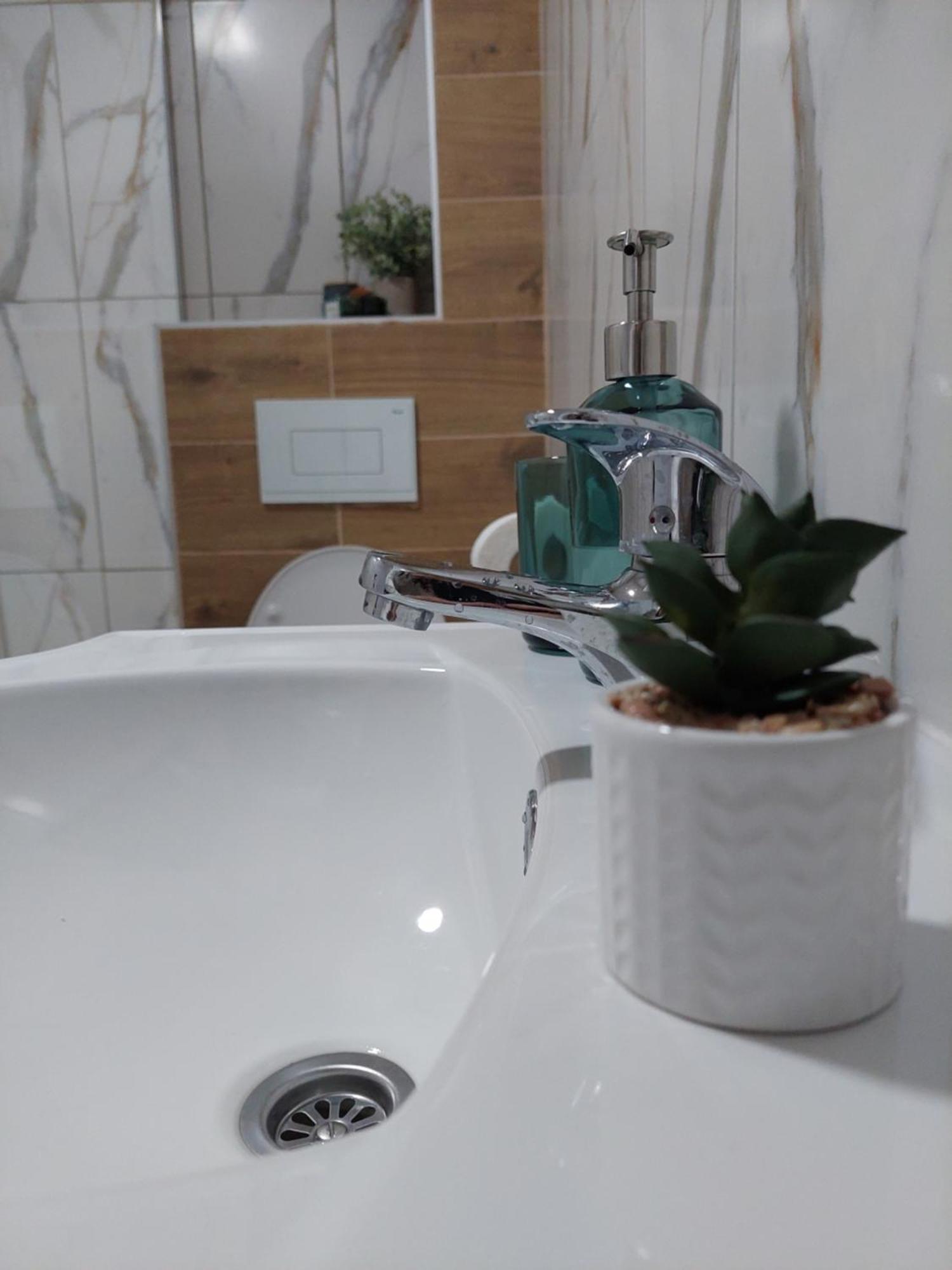 Apartmani Zivkovic Veliko Gradište Exteriör bild